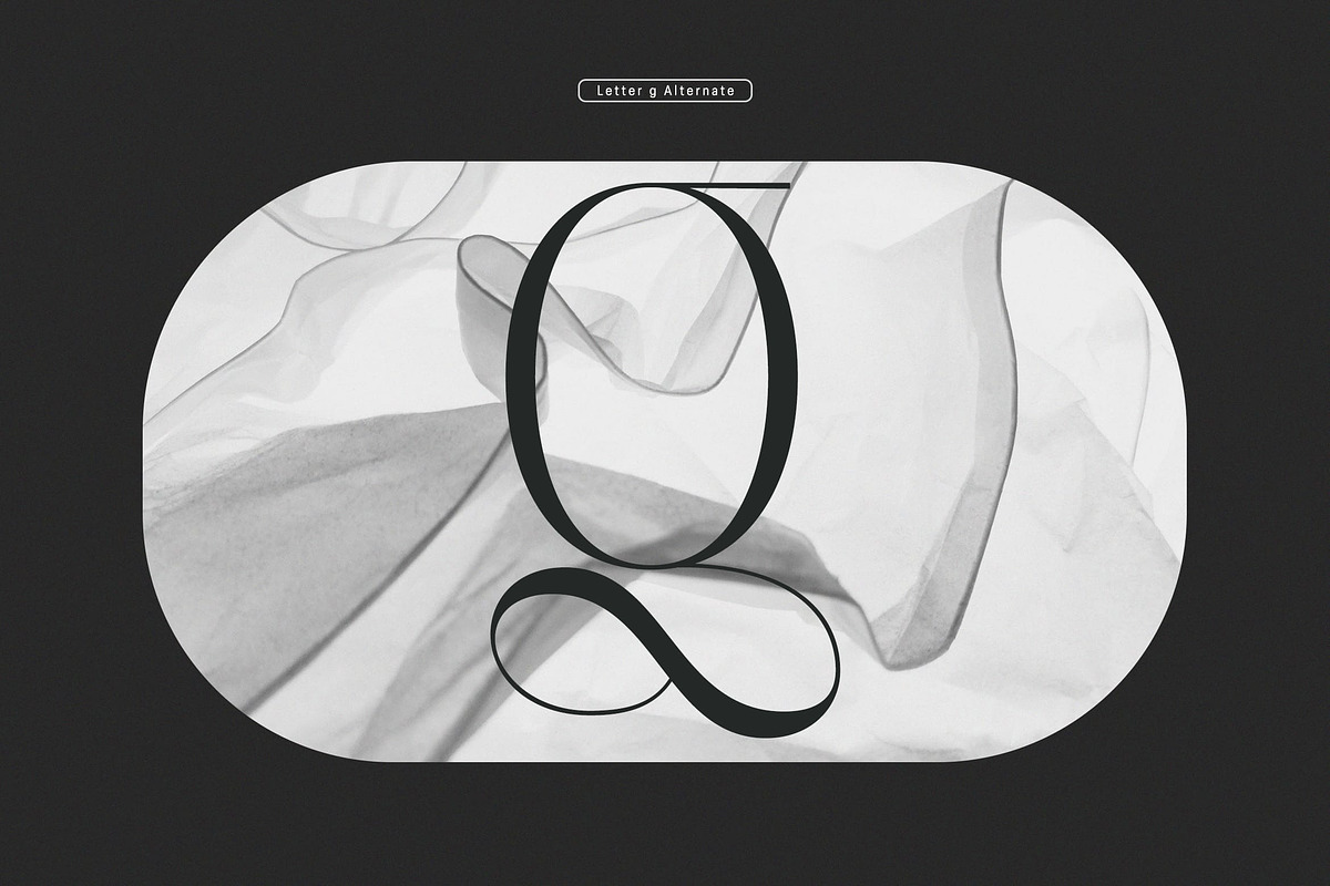 Polyglot Neue, a Serif Font by MJtypefoundry (Photo 3 of 13)
