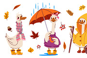 Cute autumn goose character set on, an Animal Illustration by art PVP - market (Thumbnail 3 of 3)
