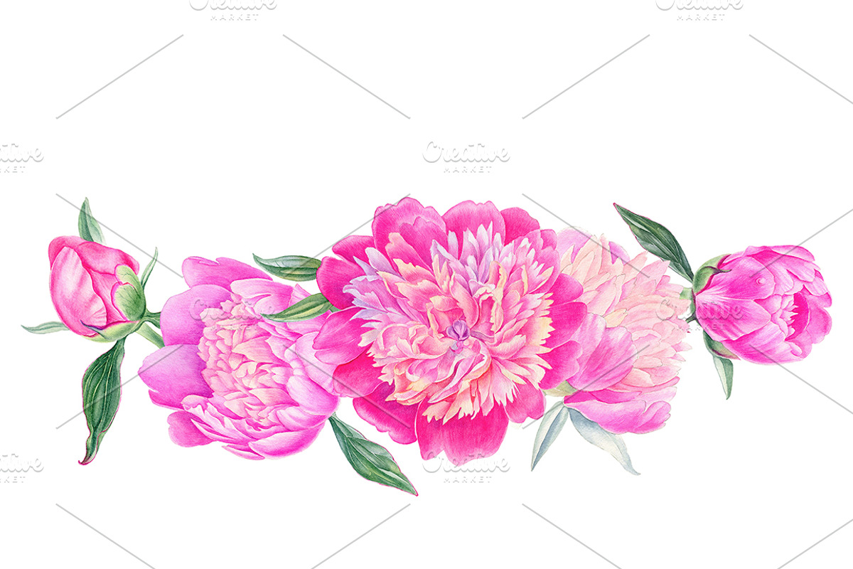 Peonies, a Decorative Illustration by Watercolor life (Photo 4 of 6)