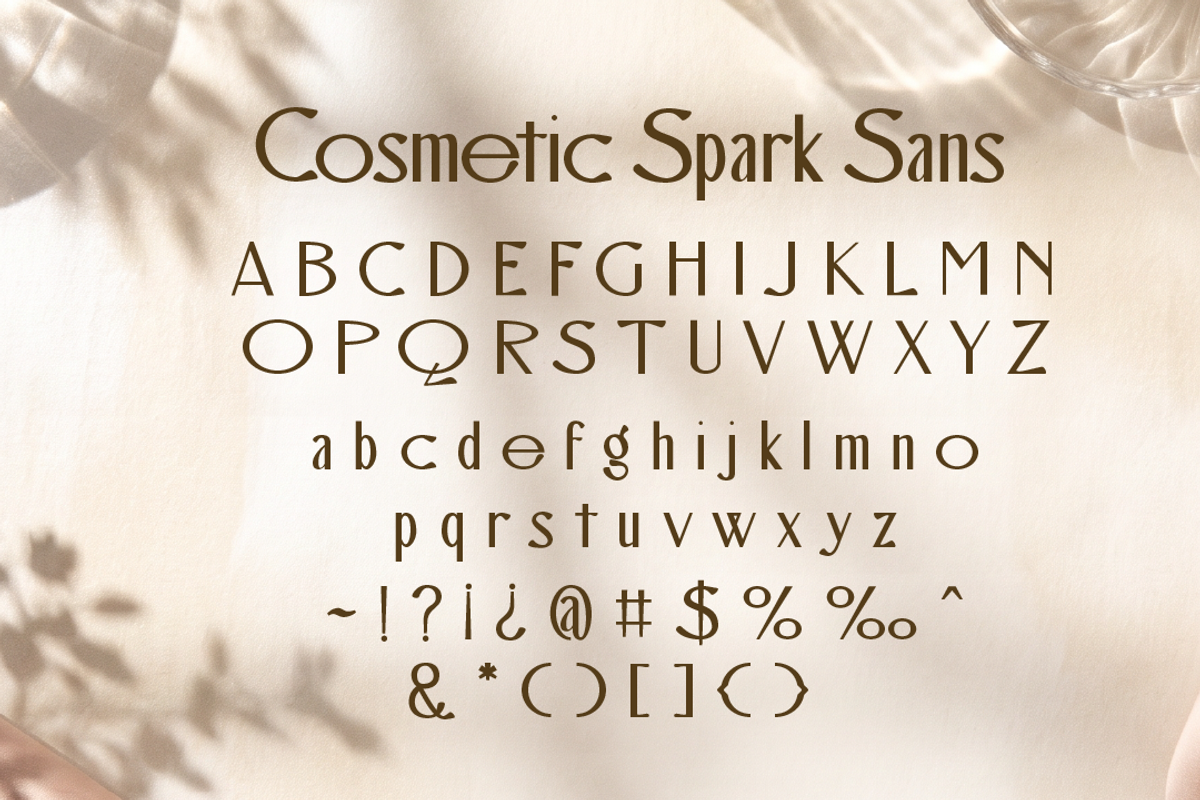 Cosmetic Spark - Luxury Beauty Font, a Font by Attype (Photo 9 of 9)