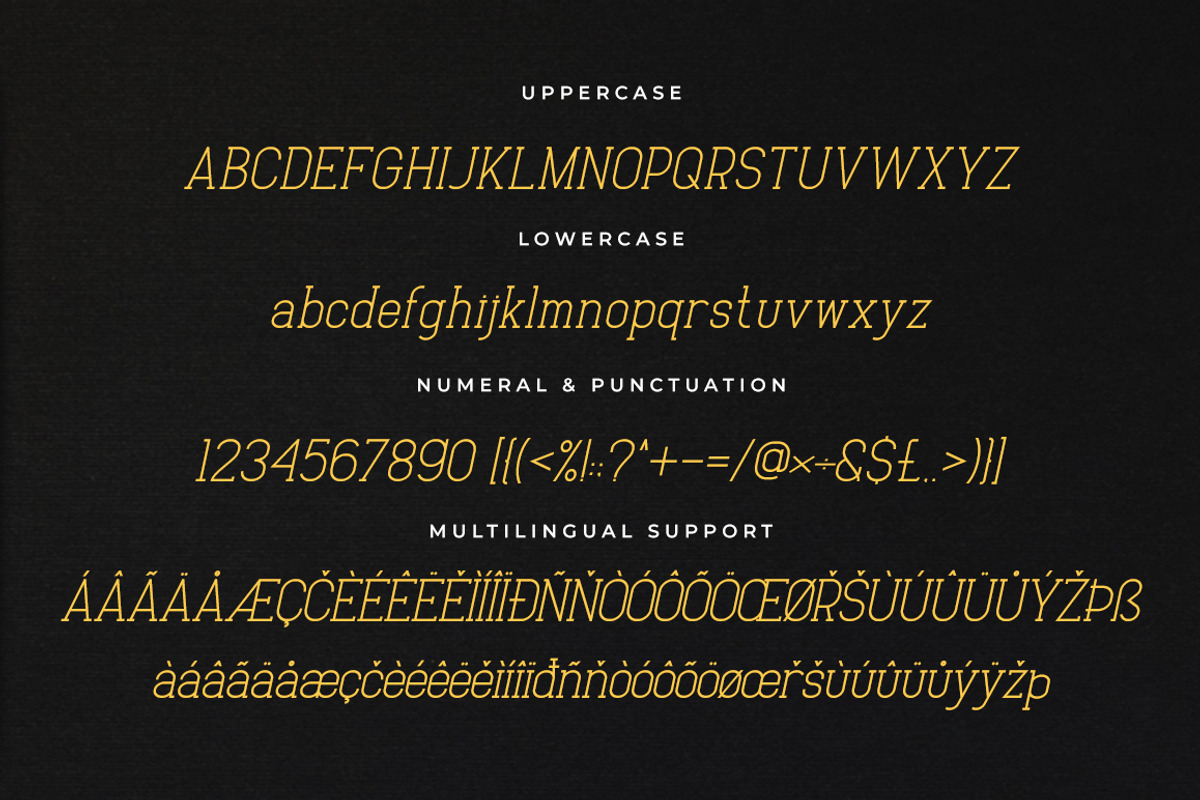 Baxley Modern Slab Serif, a Slab Serif Font by Heinzel Std (Photo 9 of 10)