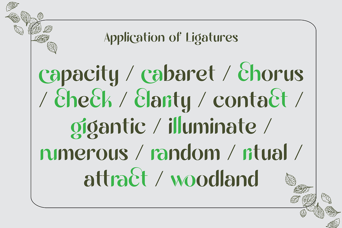 Burgile Happy Sans Serif Font, a Font by AuthenType (Photo 5 of 10)