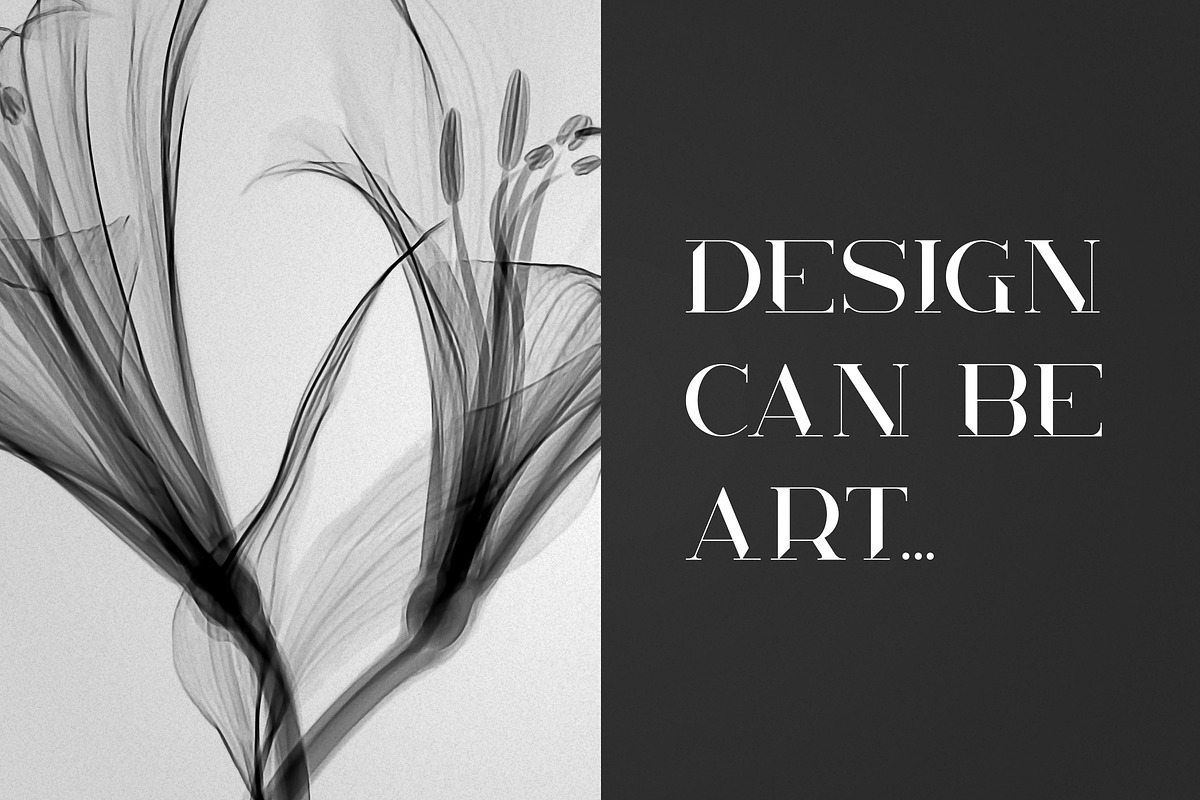 Kavo Styled Serif Typeface | 5 fonts, a Serif Font by VP Fonts (Photo 10 of 13)