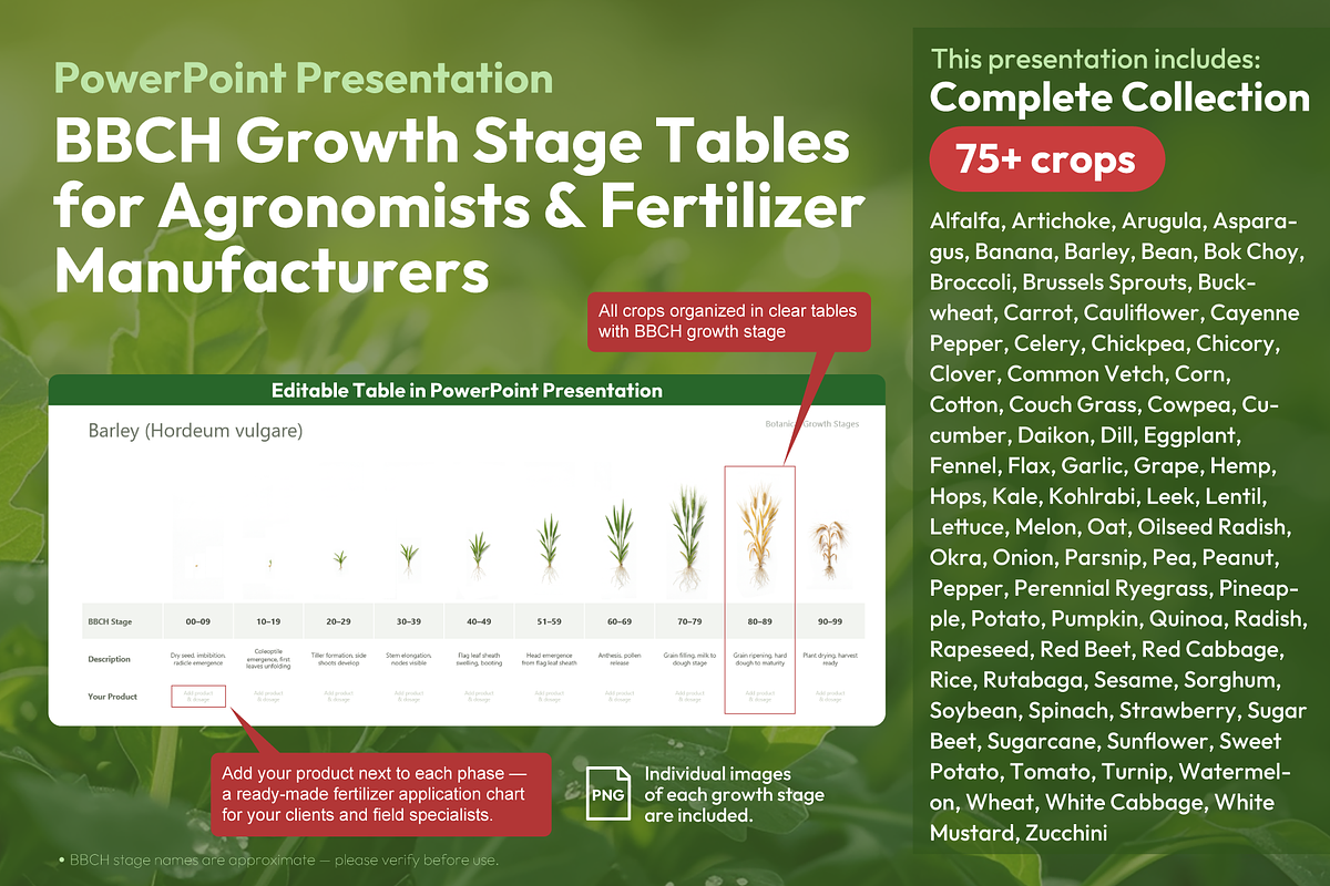 BBCH Growth Stages — 75+ Crops Set, a Presentation Template by Ilia Design (Photo 1 of 5)