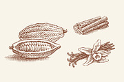 Cacao, vanilla, cinnamon, a Graphic by Irina Trusova (Thumbnail 1 of 4)