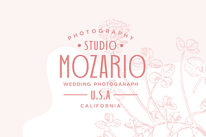 Wedding Font Pairing