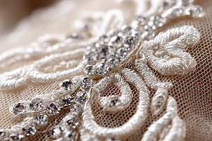 Luxurious embroidered lace, a Beauty & Fashion Photo by MistyDay