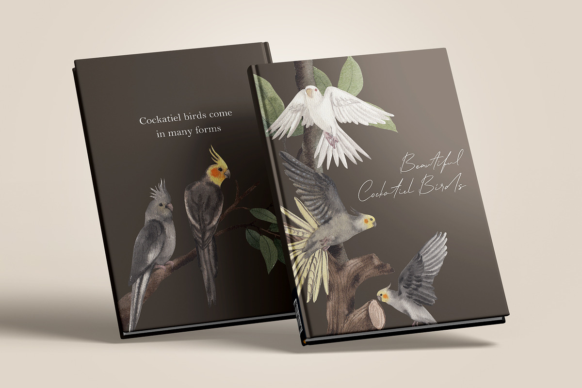Cockatiel Birds Watercolor, an Animal Illustration by CreativeValuation (Photo 9 of 15)