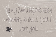 The Cecily Show Signature Font, a Script Font by The October Creative (Thumbnail 6 of 8)