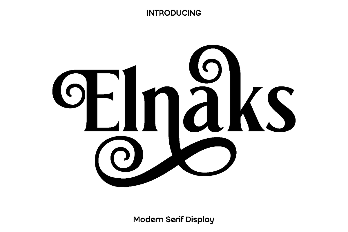 Elnaks Modern Serif Display, a Serif Font by Luna Shop (Photo 1 of 9)