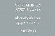 Bluewave - Modern Serif, a Serif Font by Mikhail Fukurou (Thumbnail 10 of 11)
