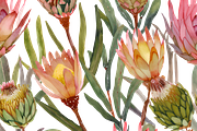 Watercolor Fynbos Flowers, a Decorative Illustration by Karliefie (Thumbnail 4 of 6)