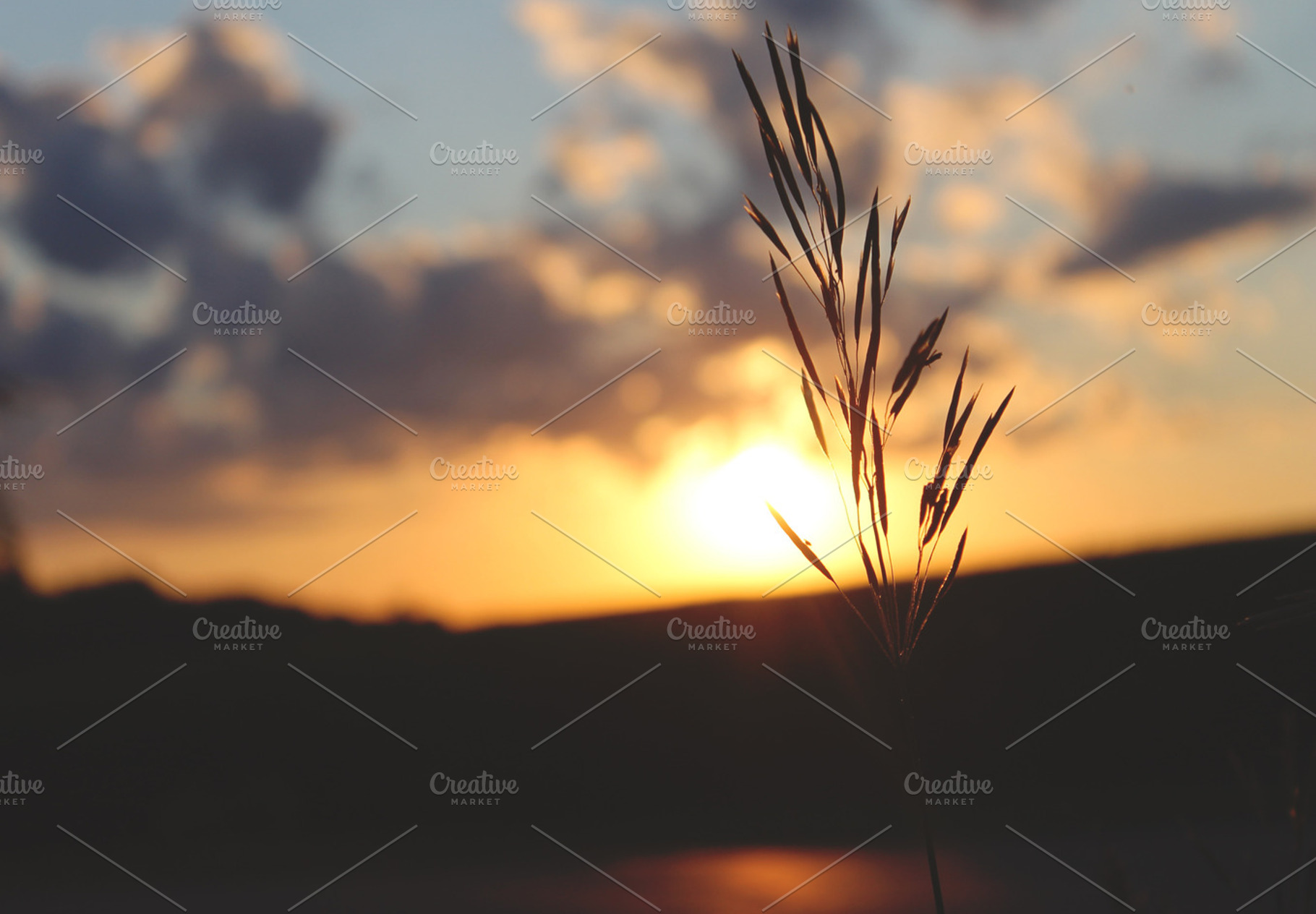 Summer Sun Featuring Summer Sun And Sunset
