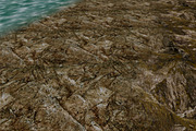 AUTUMN AND WINTER TEXTURE PACK, a Textures & Material 3D Model by Beatheart Creative Studio (Thumbnail 20 of 58)