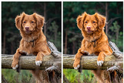 Vibrant Lightroom Presets, a Preset Add-On by artboard1 (Thumbnail 5 of 7)