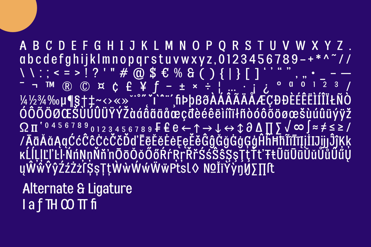 Kelaba Sans, a Font by Differentialtype (Photo 12 of 12)