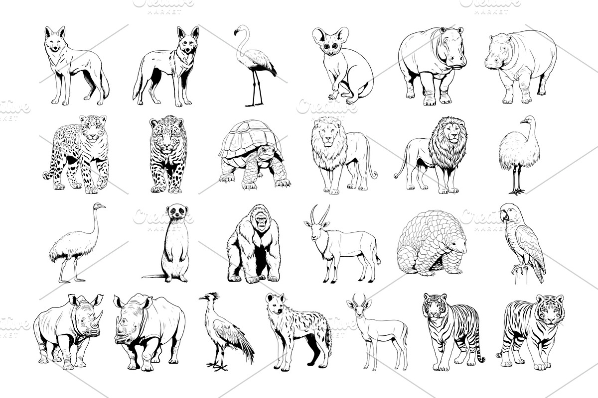 50 Safari Animals Procreate Stamps, a Brush Add-On by Procreate Sale (Photo 4 of 6)