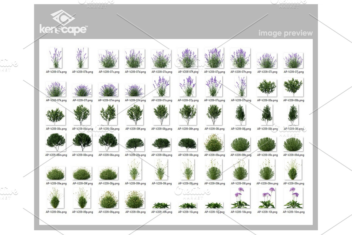 60 Assorted Plants Photo Overlays, a Nature Photo by KenScape (Photo 3 of 3)