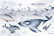 Arctic cute animals.  Watercolor set, an Animal Illustration by Peace ART (Thumbnail 13 of 22)