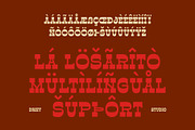 La Losarito – Reverse Contrast Weste, a Slab Serif Font by Drizy (Thumbnail 6 of 10)