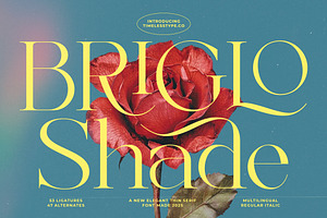 Briglo Shade Elegant Thin Serif, a Serif Font by timelesstype.co