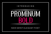 Prominum Bold Font, a Serif Font by brahamb_design (Thumbnail 5 of 5)