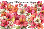 Spring Alstroemeria Flowers Clipart, an Illustration by Craft Nest (Thumbnail 1 of 11)