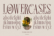 Broshock Typeface, a Serif Font by alit design (Thumbnail 9 of 20)