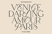 Tokyo Dreams Display Ligature Serif, a Serif Font by Mila Garret (Thumbnail 18 of 28)