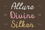 CS Abiola – Script Font, a Script Font by Craft Supply Co. (Thumbnail 3 of 8)