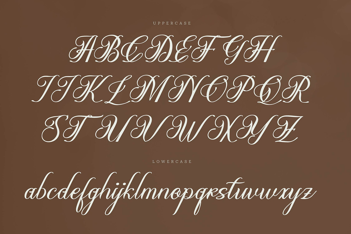 Olydemi | Beauty Script, a Script Font by Denustudios (Photo 10 of 13)
