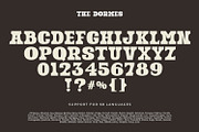 The Dormes, a Serif Font by yumnatype (Thumbnail 10 of 10)