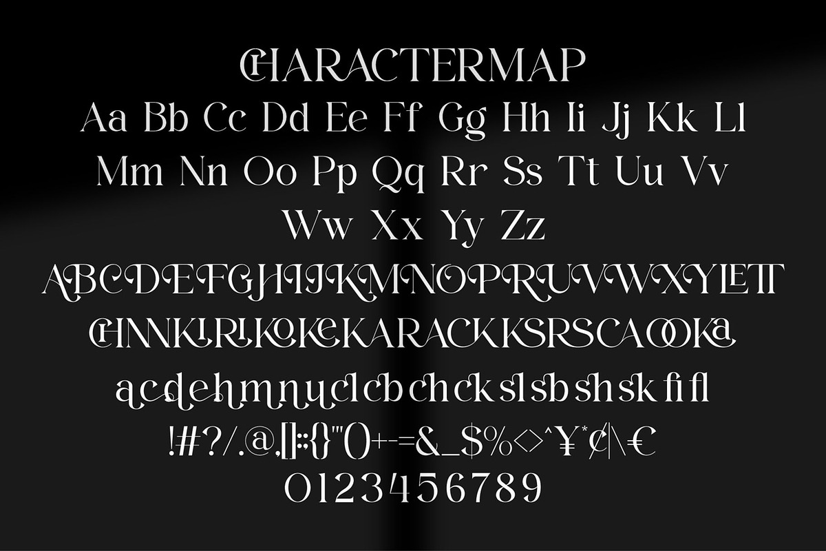 Erios || Modern Elegant Serif Font, a Serif Font by Ermedia Studio (Photo 10 of 10)