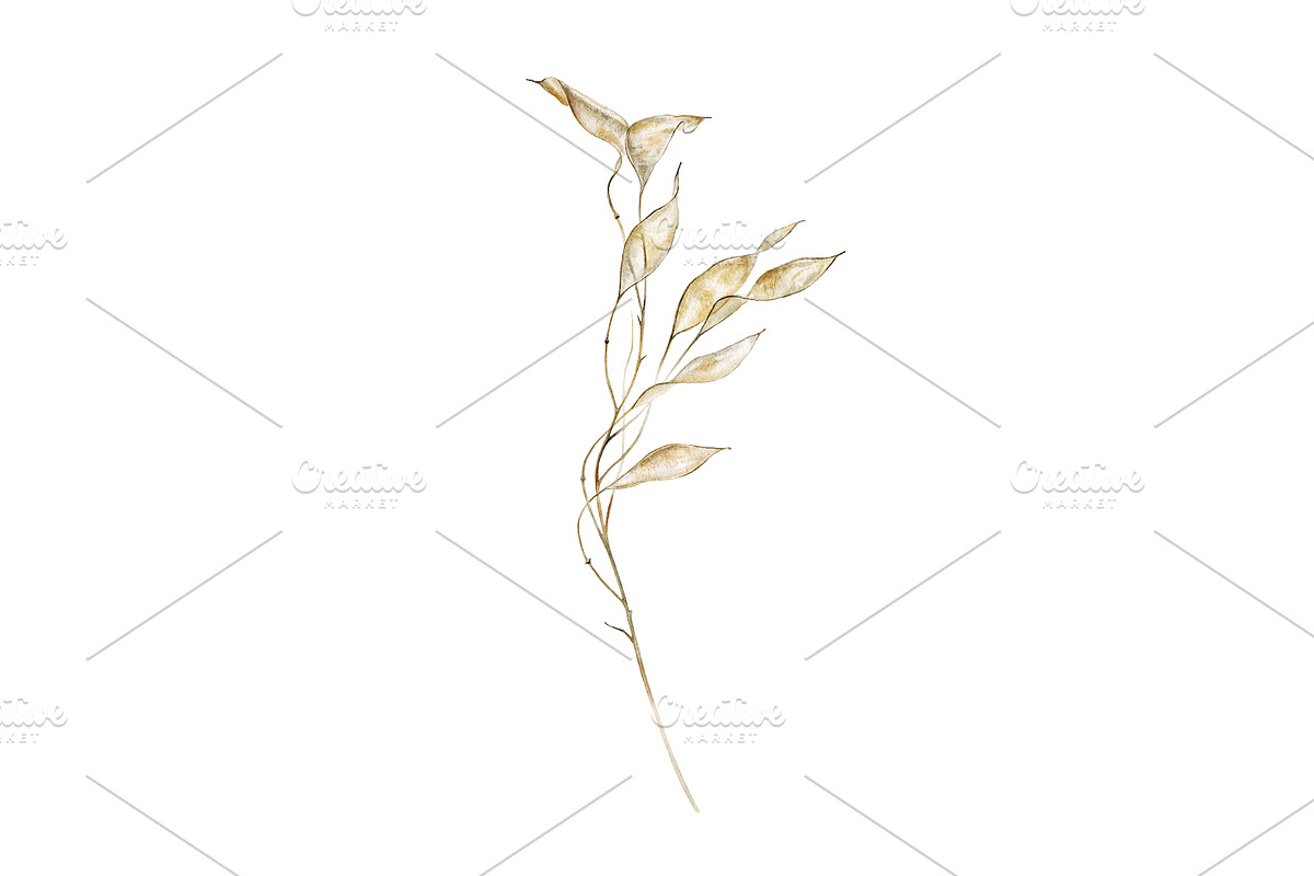 Lunaria branches, an Illustration by Watercolor life (Photo 5 of 7)