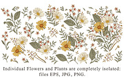 Set Seamless Flowers Chamomile daisy, a Pattern Graphic by Vintage (Thumbnail 4 of 17)