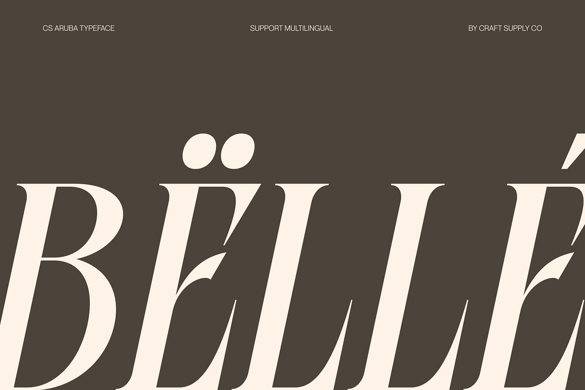 CS Aruba, a Serif Font by Craft Supply Co. (Photo 7 of 8)