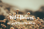 Wild Flowers II, a Templates & Theme by ApertureVintage (Thumbnail 12 of 14)