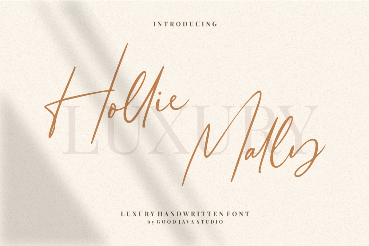 Hollie Mally