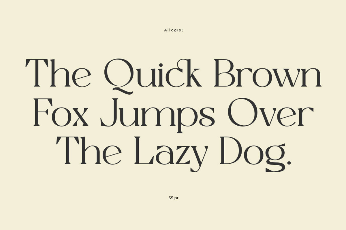 Allogist - Modern Typeface, a Serif Font by Dora Typefoundry (Photo 11 of 15)