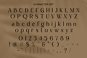 Sparkling Mellow - Elegant Serif, a Serif Font by RagamKata (Thumbnail 7 of 9)