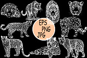Leopards 5, an Animal Illustration by Ecaterina Sciuchina (Thumbnail 2 of 3)