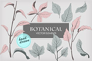 Botanical vector elements, an Object Graphic by Solana (Thumbnail 1 of 3)