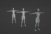 Realistic Female Base Mesh in T-Pose, a Characters & Person 3D Model by Casa Mandarina (Thumbnail 5 of 9)