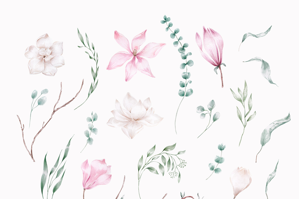 Elegant magnolias and eucalyptus, an Illustration by astelenadesign (Photo 15 of 16)