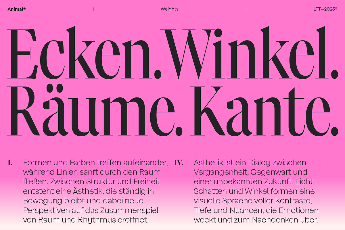 Animal, a Serif Font by Latinotype (Photo 3 of 14)