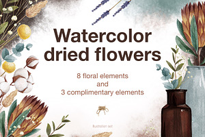 Watercolor dried flowers set