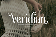 Elynior Katalis Display Elegant Font, a Serif Font by Denustudios (Thumbnail 6 of 15)