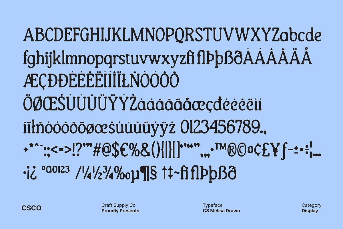 CS Melisa Drawn, a Serif Font by Craft Supply Co. (Photo 8 of 8)