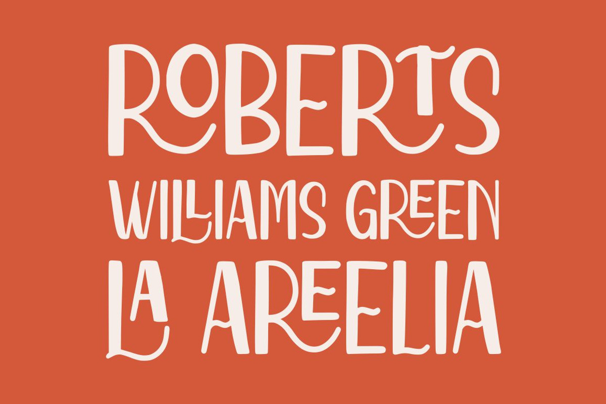 Reeline - Luxury Hand Drawn Font preview 3