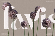 Raving Display Editorial Serif Font, a Serif Font by SilverStag Type Foundry (Thumbnail 13 of 30)